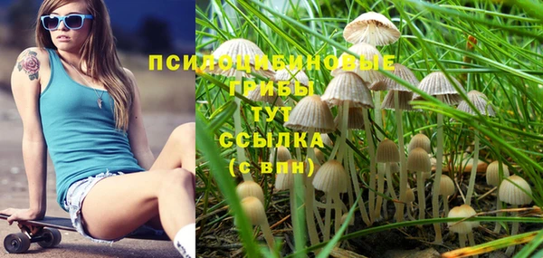 молекула духа Козловка