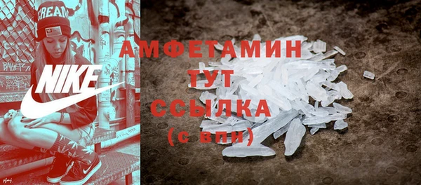 молекула духа Козловка
