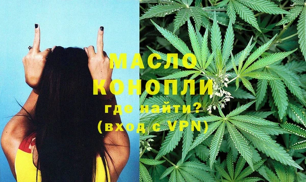 молекула духа Козловка