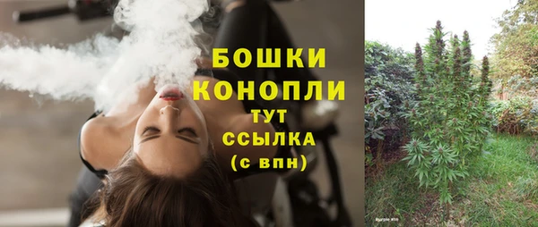 молекула духа Козловка