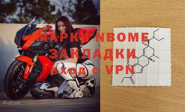 сатива Надым
