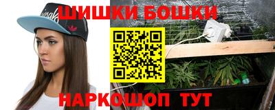 шишки Кимры