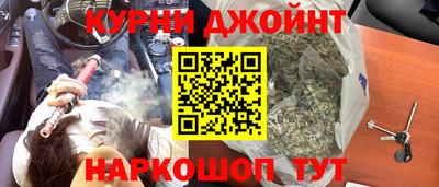 шишки Кимры