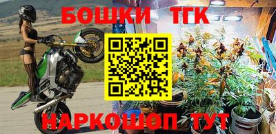 шишки Кимры
