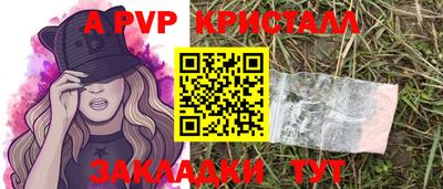 шишки Кимры
