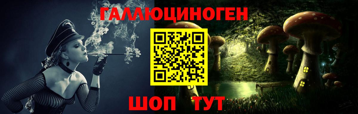 Котлас  Псилоцибиновые грибы Psilocybine cubensis  Вход с VPN 